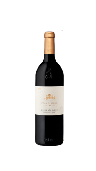 Aster Finca el Otero 2021