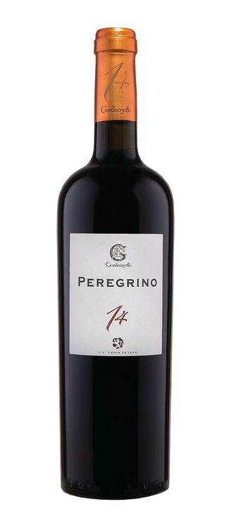 Peregrino 14 2017