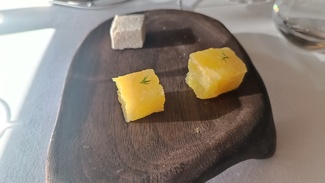 Petit fous
