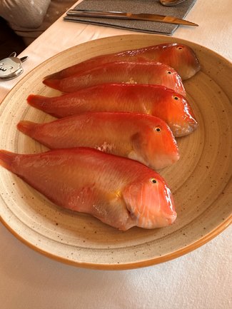 Restaurante Quiosco Aduana en Valencia