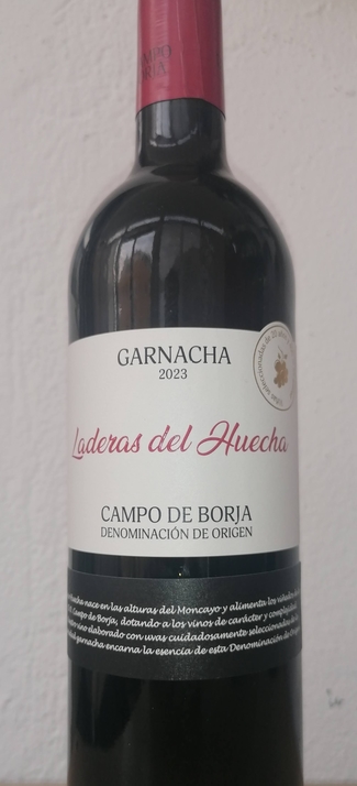 Laderas del Huecha 2023