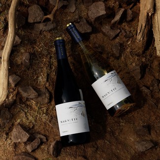Nace Magnètic, la nueva gama de vinos jovenes de Familia Torres