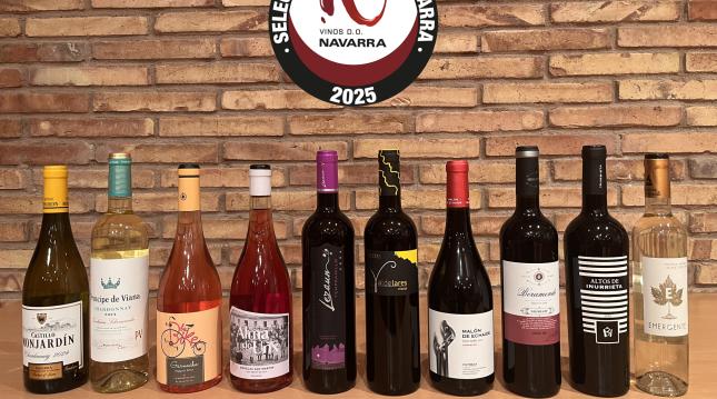 Navarra elige los vinos que representarán a la Denominación de Origen en 2025