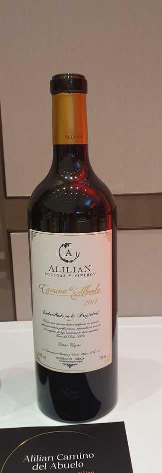 Camino del Abuelo 2014