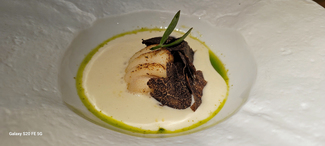 Ala de raya, espuma de patatas al carbón, hinojo marino y trufa melanosporum.