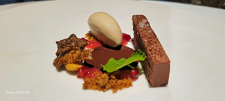 Helado de topinambur tostado, mouse aireada de chocolate, granada y vainilla