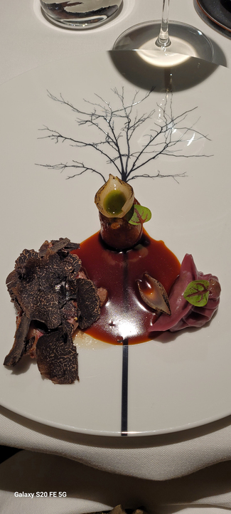 Pato braseado con salsa de mole, dumpling de boniato lila, boniato fondant, foie gras y cebolla perla especiada.