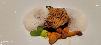 Calamar shio Koji con estofado de  rebozuelos y avellanas, reduccion de calamar , aire de avellanas y wasabi.