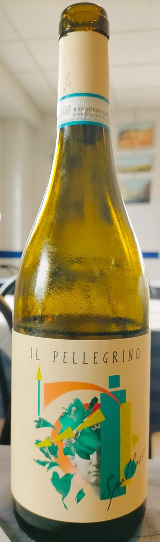 Il Pellegrino 2023