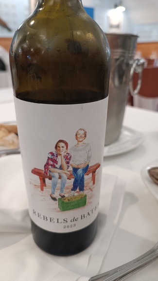 Vino Rebels de Batea