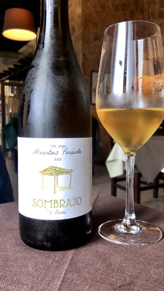 Sombrajo "El Piraña" 2021