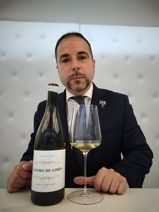 Castro de Limés 2017