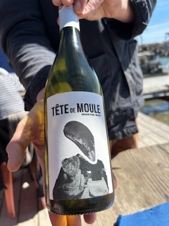 Tête de Moule 2022