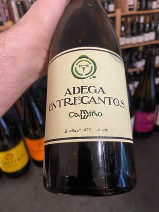 Adega Entrecantos Camiño Blanco 2022