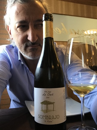 Sombrajo viña pago La Cruz 2021