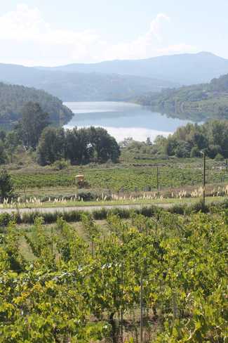 Las vistas del Miño desde lo alto de la finca