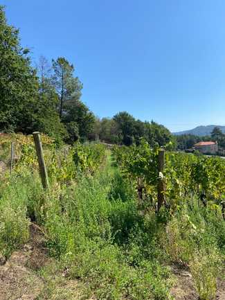 Trabajo basado en la sostenibilidad