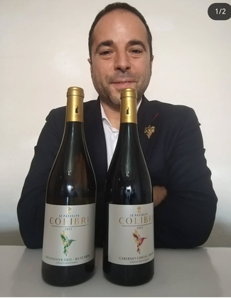 Colibri blanco y tinto 2021