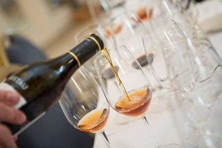 Batimos récords: reunimos a más de 800 futuros profesionales en una cata online de Vinos de Jerez y Manzanilla