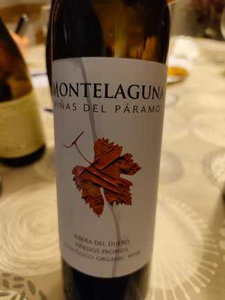 Montelaguna Viñas del Paramo 2023