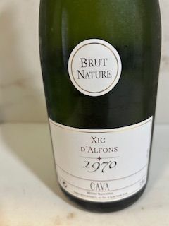 Cava Xic d Alfons 1970 Brut Nature