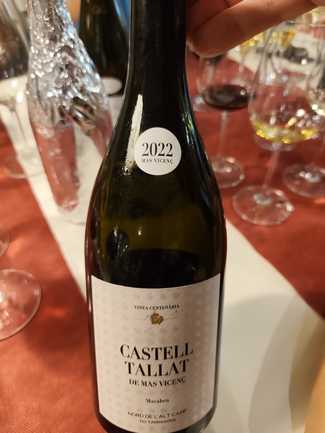 Castell Tallat de Más Vicenç Macabeo 2022