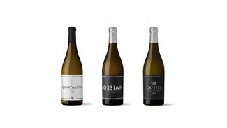 Los vinos Ossian