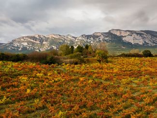 LA MONTAÑA
