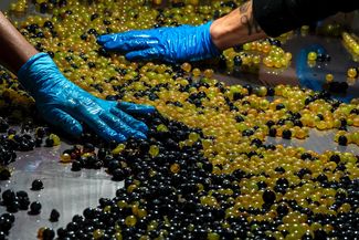 LAS UVAS