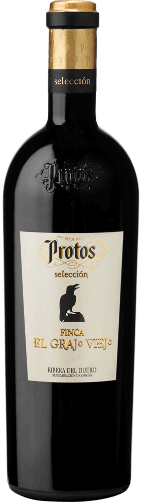 Protos Selección Finca El Grajo Viejo 2021