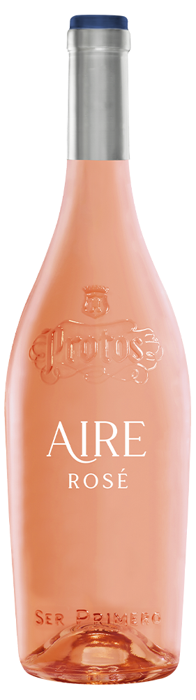 Aire de Protos 2024