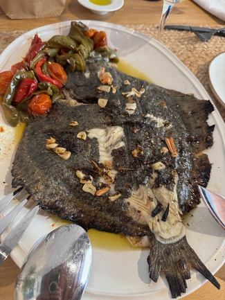 Rodaballo