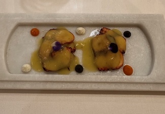 Pulpo1