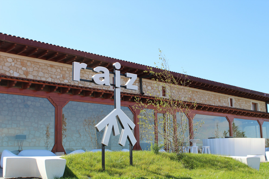 Visita a Bodegas Raíz de Guzmán