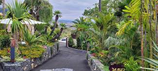 Entrada al restaurante