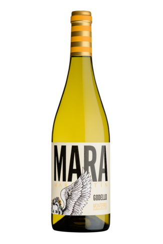 Mara Martín Godello 2024