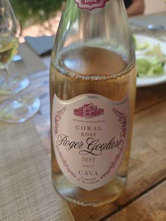 Roger Goulart Coral Rose 2022