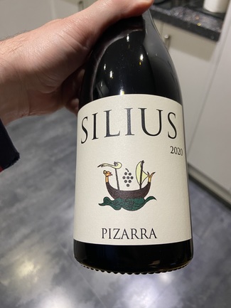 Pizarra, Silius 2020