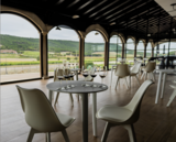 Sensaciones Enológicas