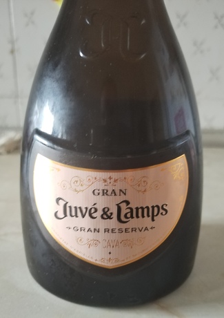 Gran Juvé&Camps Gran Reserva 2015