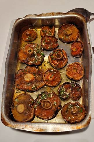 Niscalos (Lactarius deliciosus) de temporada