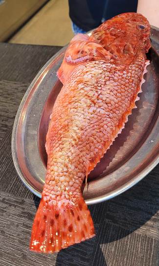 Presentacion del cabracho antes de pasar por las brasas