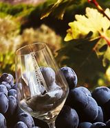 Tour 2: Visita a la bodega + degustación de 3 vinos con un aperitivo local - 20€/persona Incluye una visita guiada a la bodega y la cata de tres vinos con crianza.