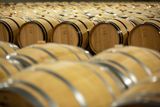 Tour Infantil: Visita a la bodega + aperitivo local