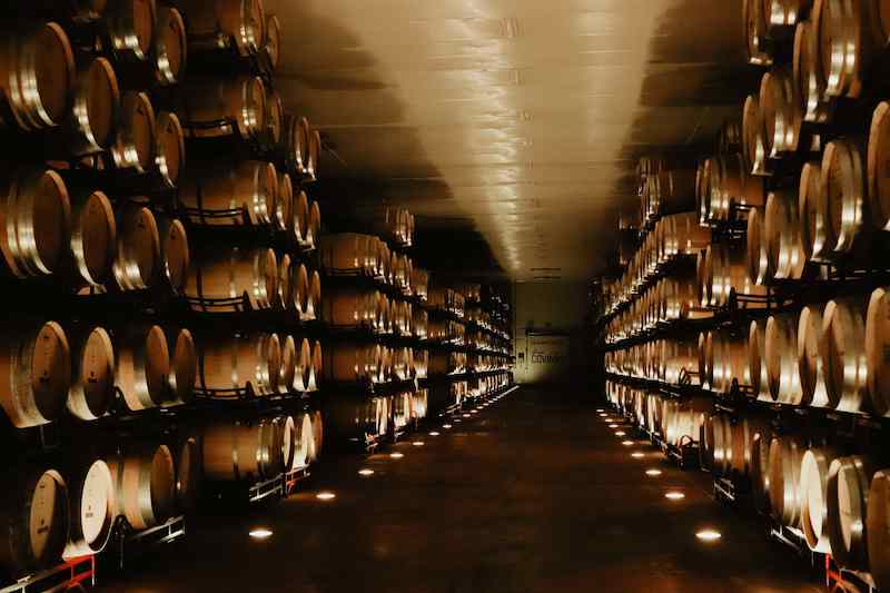 Coviñas, homenajeada por sus seis décadas  cultivando vino y valores