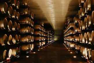 Coviñas, homenajeada por sus seis décadas  cultivando vino y valores
