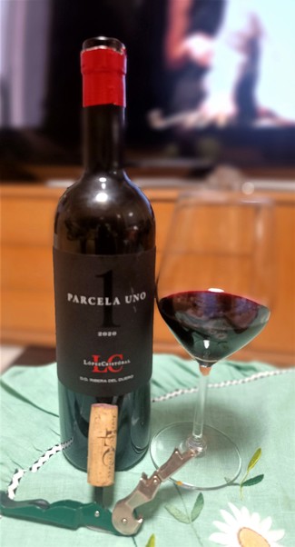 Excelente riberita del duero