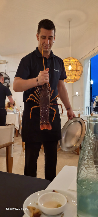 Presentación de la langosta viva