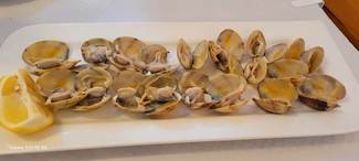 Almejas de Carril a la plancha