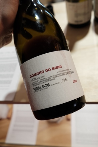 Dominio do Bibei 2020